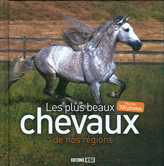 Les plus beaux chevaux de nos régions