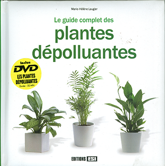 Plante dépolluante